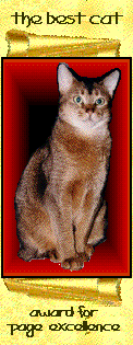 Best Cat Award of Excellence