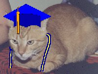 Graduation