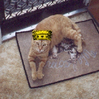 Mogwhi the Prince