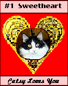 Number 1 Sweetheart