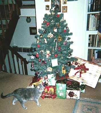 Steinway Christmas - cat,kat,gato - Kats R Us