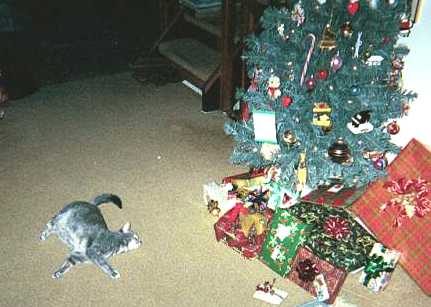 Steinway Christmas - cat,kat,gato - Kats R Us