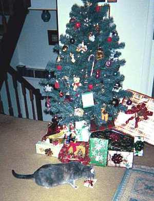 Steinway Christmas - cat,kat,gato - Kats R Us