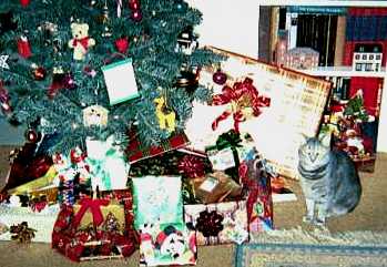 Steinway Christmas - cat,kat,gato - Kats R Us